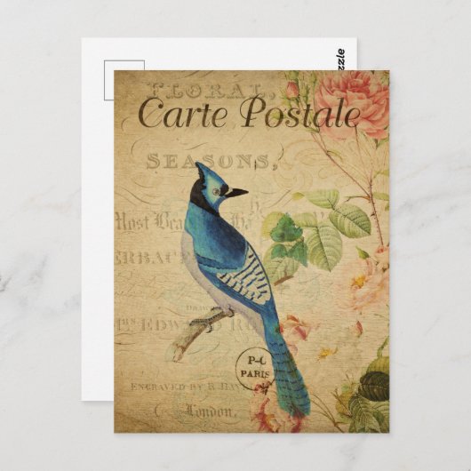  Stijlblauw vogel Frans carte Postale Briefkaart