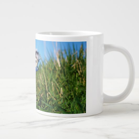 Stijldansende Fubby's in Narcissen jurk. Grote Koffiekop (Rechts)