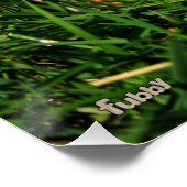 Stijldansende Fubby's in Narcissen jurk. Perfect Poster (Hoek)