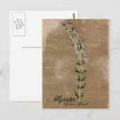 Stijlhyssop-Briefkaart Briefkaart (Voorkant / Achterkant)