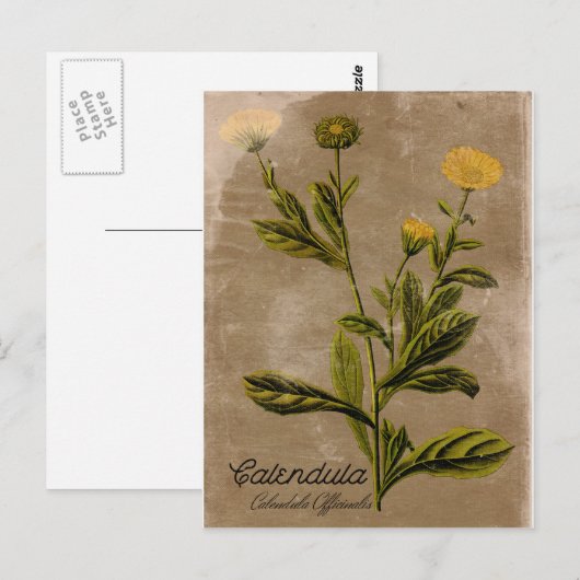 Stijlkalender Briefkaart (Voorkant / Achterkant)