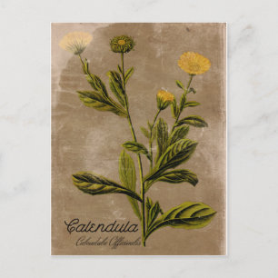 Stijlkalender Briefkaart
