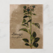  stijlpagina Borage Herb Briefkaart (Voorkant)