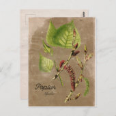  stijlpagina Poplar Tree Post Card Briefkaart (Voorkant / Achterkant)