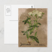  stijlpijl-Briefkaart Briefkaart (Voorkant / Achterkant)