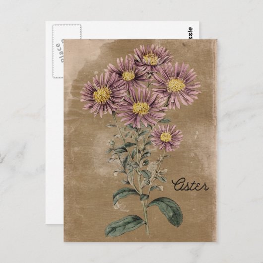  stijlrooster briefkaart (Voorkant / Achterkant)