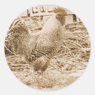 stijlrooster foto ronde sticker