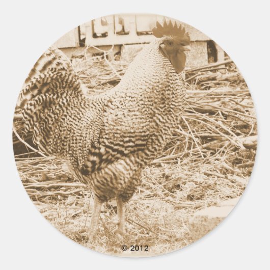 stijlrooster foto ronde sticker (Voorkant)
