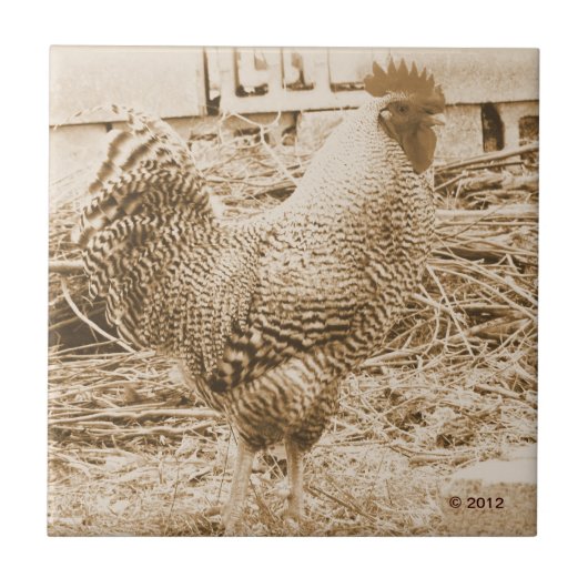 stijlrooster foto tegeltje (Voorkant)