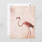  Stijlroze flamingo Briefkaart (Voorkant / Achterkant)