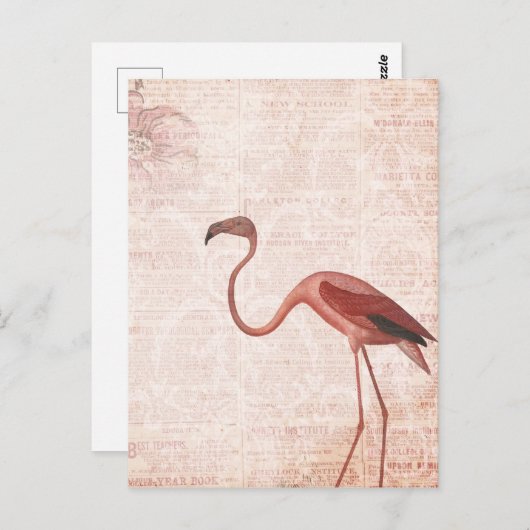  Stijlroze flamingo Briefkaart (Voorkant / Achterkant)