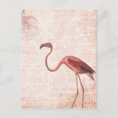  Stijlroze flamingo Briefkaart (Voorkant)