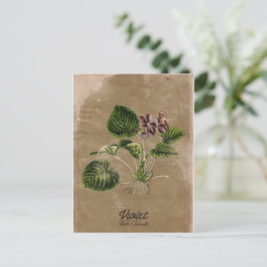 Stijlviolet Briefkaart (Staand voorkant)