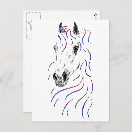 Stijlvol Arabisch paard Briefkaart (Voorkant / Achterkant)