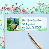 Stijlvol blauw groene pauw, aangepast adres etiket