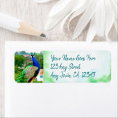 Stijlvol blauw groene pauw, aangepast adres etiket (Insitu)