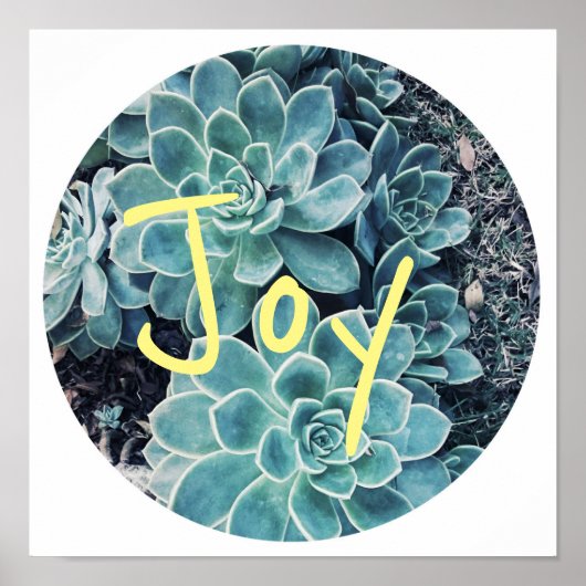 Stijlvol Bleek groen cactus Succulent Joy Poster (Voorkant)