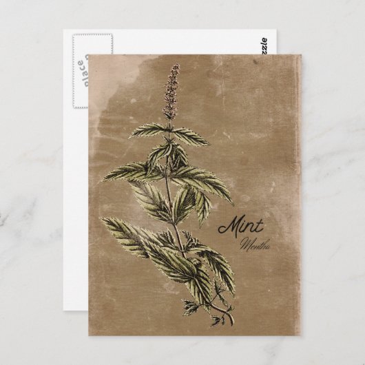  Stijlvol Briefkaart (Voorkant / Achterkant)