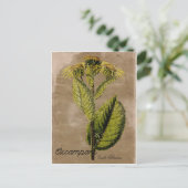  Stijlvol Briefkaart (Staand voorkant)