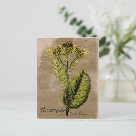 Stijlvol Briefkaart (Staand voorkant)