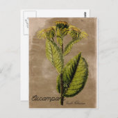  Stijlvol Briefkaart (Voorkant / Achterkant)