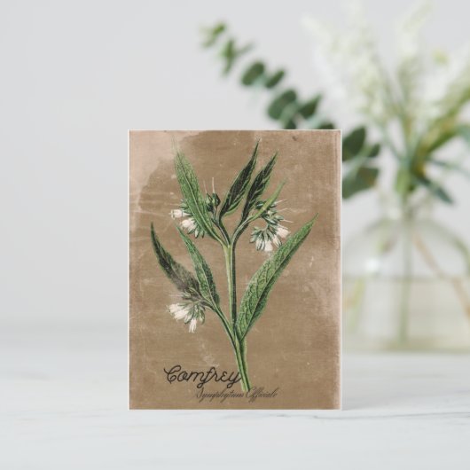 stijlvol Briefkaart (Staand voorkant)