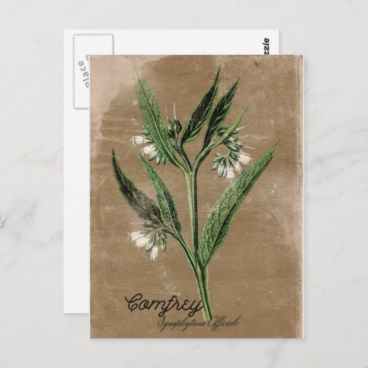  stijlvol Briefkaart (Voorkant / Achterkant)