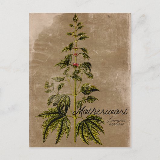  Stijlvol Briefkaart (Voorkant)