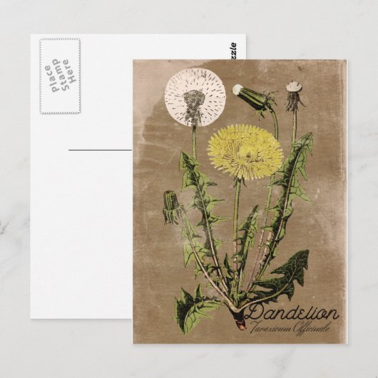 stijlvol Dandelion Briefkaart (Voorkant / Achterkant)