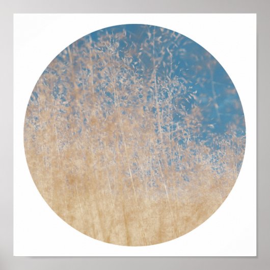 Stijlvol Golden Grass Blue Sky Dreamweaver Poster (Voorkant)