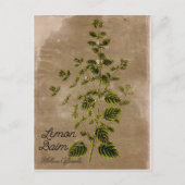  stijlvol Lemon Balm Briefkaart (Voorkant)