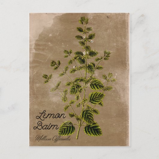  stijlvol Lemon Balm Briefkaart (Voorkant)
