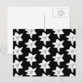 Stijlvol Lily Pattern in Black and White. Briefkaart (Voorkant / Achterkant)