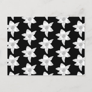 Stijlvol Lily Pattern in Black and White. Briefkaart