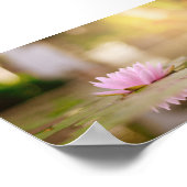 Stijlvol Lotus Bloem Landschap, Zen Poster (Hoek)
