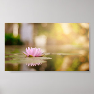 Stijlvol Lotus Bloem Landschap, Zen Poster
