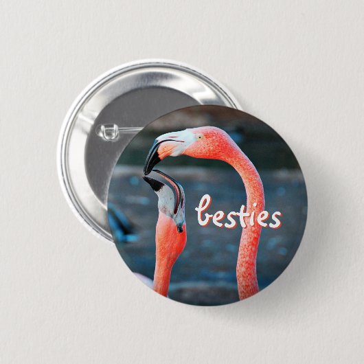 Stijlvol modern roze flamingos Photo Besties Scrip Ronde Button 5,7 Cm (Voorkant /achterkant)