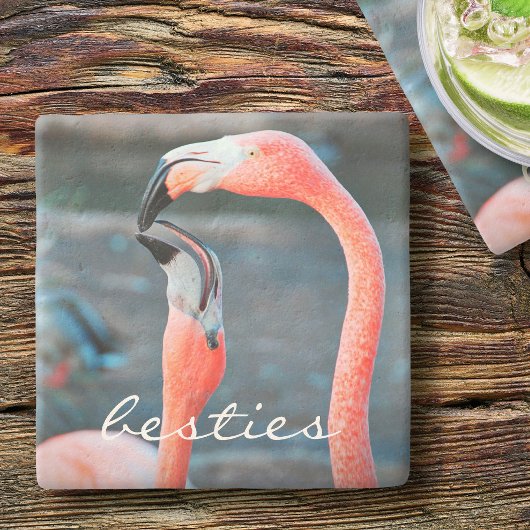 Stijlvol modern roze flamingos Photo Besties Scrip Stenen Onderzetter