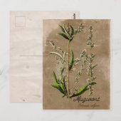  Stijlvol Plant achteraf-kaart Briefkaart (Voorkant / Achterkant)