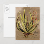  Stijlvol Plant Briefkaart (Voorkant / Achterkant)