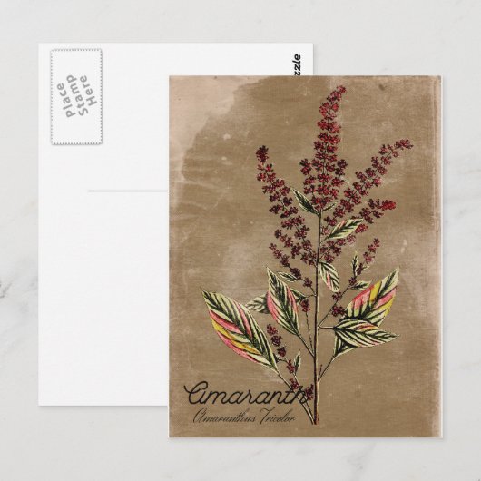 Stijlvol Plant Briefkaart (Voorkant / Achterkant)