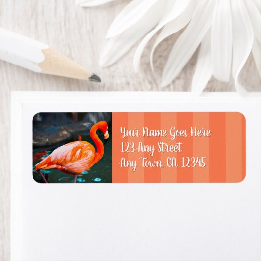 Stijlvol roze flamingo, aangepast scriptadres etiket (Insitu)