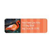 Stijlvol roze flamingo, aangepast scriptadres etiket (Voorkant)