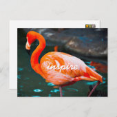 Stijlvol Roze Flamingo Foto Inspire Modern Script Briefkaart (Voorkant / Achterkant)
