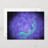 Stijlvol Uitzicht van strengen menselijk DNA Briefkaart (Voorkant / Achterkant)