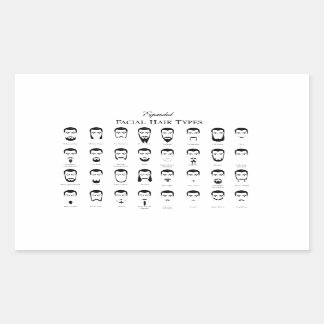 Stijlvolle Baard Types Sticker