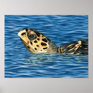 Stijlvolle Basking Hawksbill Zee Turtle Poster