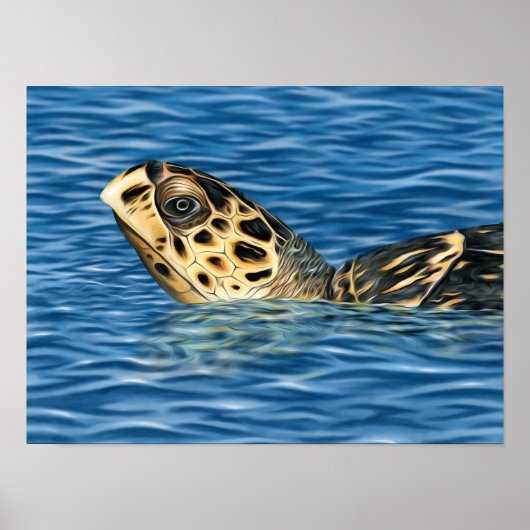 Stijlvolle Basking Hawksbill Zee Turtle Poster (Voorkant)