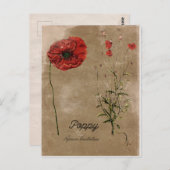  stijlvolle blaasblokkaart briefkaart (Voorkant / Achterkant)