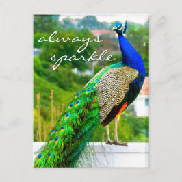 Stijlvolle Blauwe Groene Peacock Foto altijd Spark Briefkaart